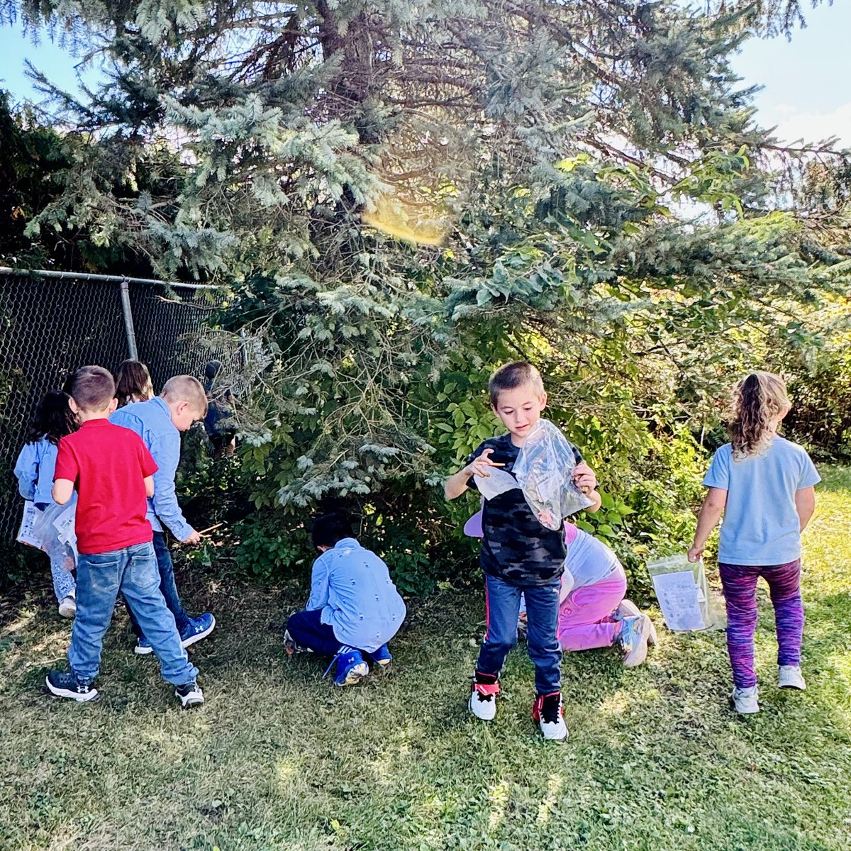 MrsWalkerOCSB's tweet photo. Perfect weather for our autumn scavenger hunt 🍂🐿️🌰 @StAnneOCSB
#autumn #scavengerhunt #signsofautumn https://t.co/DtBLDQ1mDl