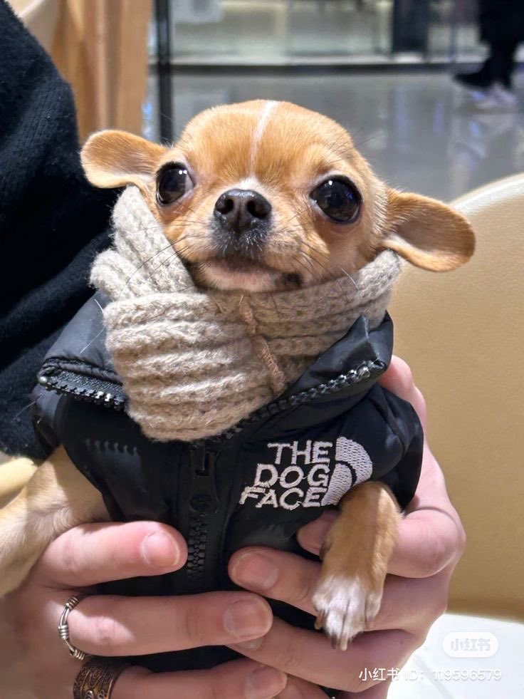 twaniimals's tweet photo. ㅤ https://t.co/eVpqgcG1p6