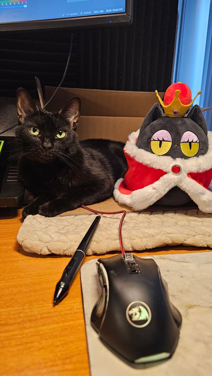 We are LIVE with the new Coral Plush, Trailers to watch, chats, and wine! Stop on by!
twitch.tv/weflaps