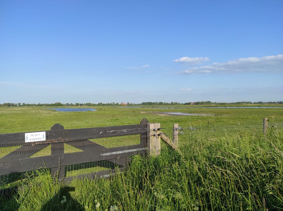 Onze motie,  om aan omroepen te vragen een Zeeuwse serie te maken, is  aangenomen, unaniem.. Een mooi resultaat! 
We hopen dat deze omroepen daar positief op reageren en er een serie gemaakt gaat worden over onze mooie provincie
<a href="/omroepzeeland/">Omroep Zeeland</a> <a href="/pzc/">ʜᴀ</a> @omroepmax_ <a href="/provzeeland/">Provincie Zeeland</a>
