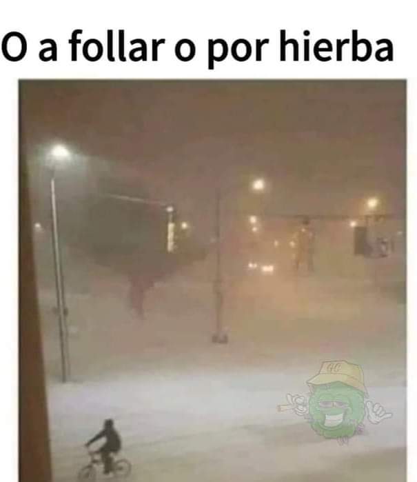 Ku$h Station (@kushstation1) on Twitter photo 