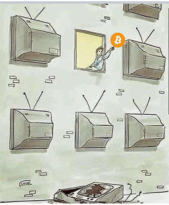 #Bitcoin te abre la mente.
