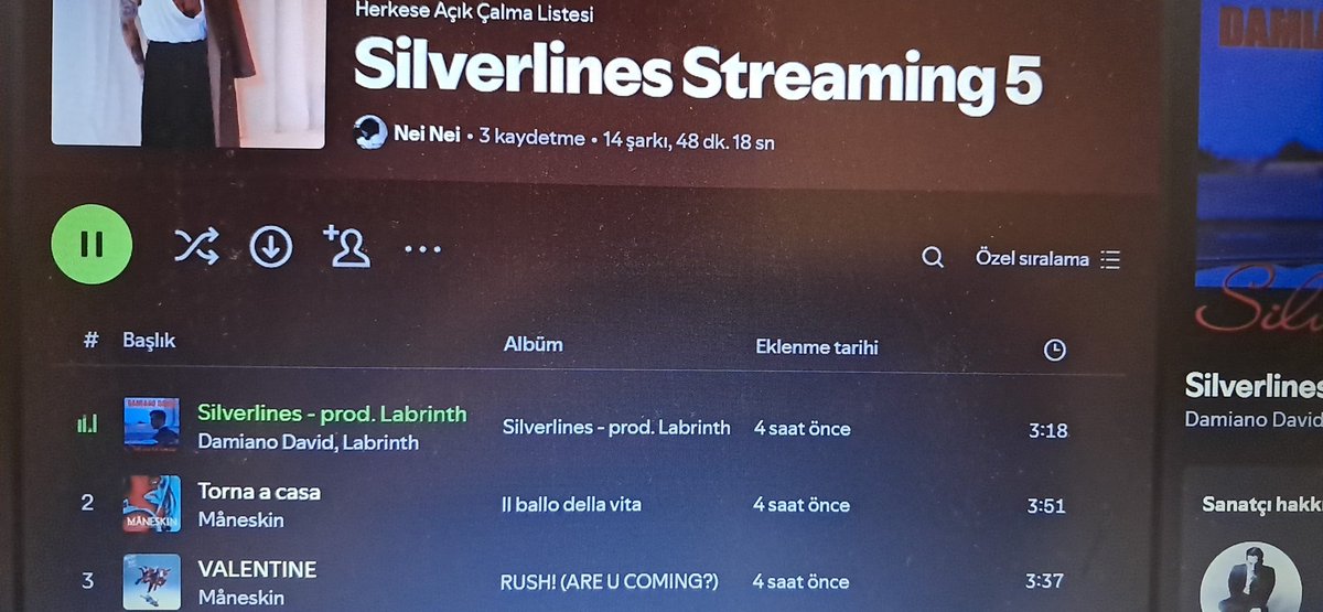 portamiabailar's tweet image. ouch? #StreamSilverlines