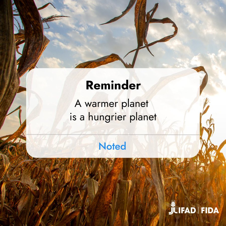Ending hunger is essential to achieving the global goals.   

Yet small-scale farmers, who produce 1/3 of our food, receive only 1% of climate finance.   

Investing in them is investing in #OurCommonFuture 🌎

Via <a href="/IFAD/">International Fund for Agricultural Development</a>