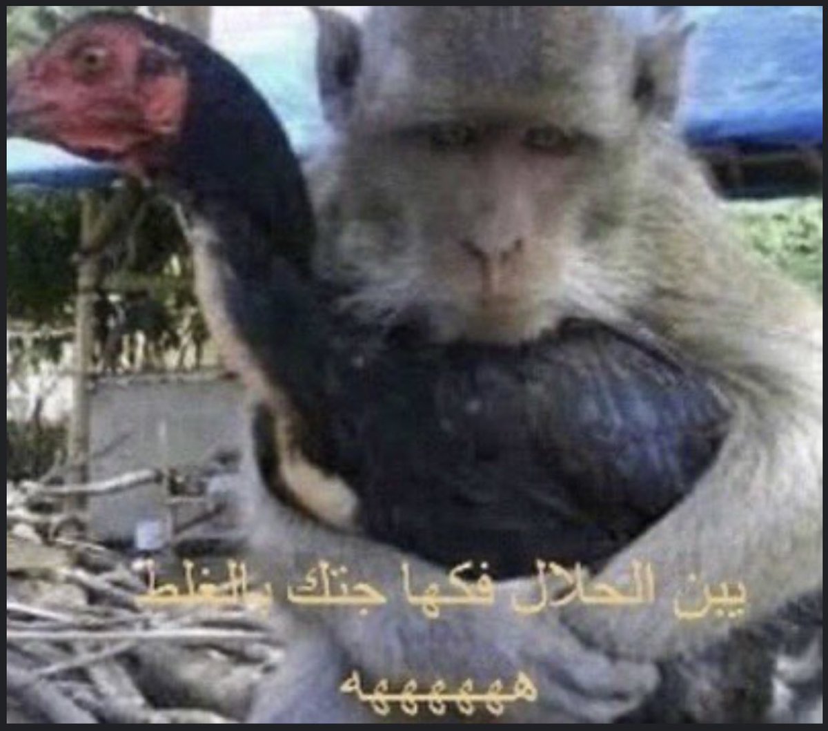 akanee1_'s tweet photo. ماكي مع يوتا 😭 https://t.co/pGGIUHMHC5