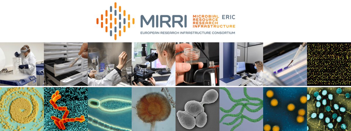 🦠 Join MIRRI-ERIC as Chief of Operations Officer  

We are thrilled to announce an open call for the Chief of Operations Officer (COO) position at MIRRI-ERIC, the pan-European infrastructure for microbial resources!  

For more details, check our website: lnkd.in/dHq49SxM