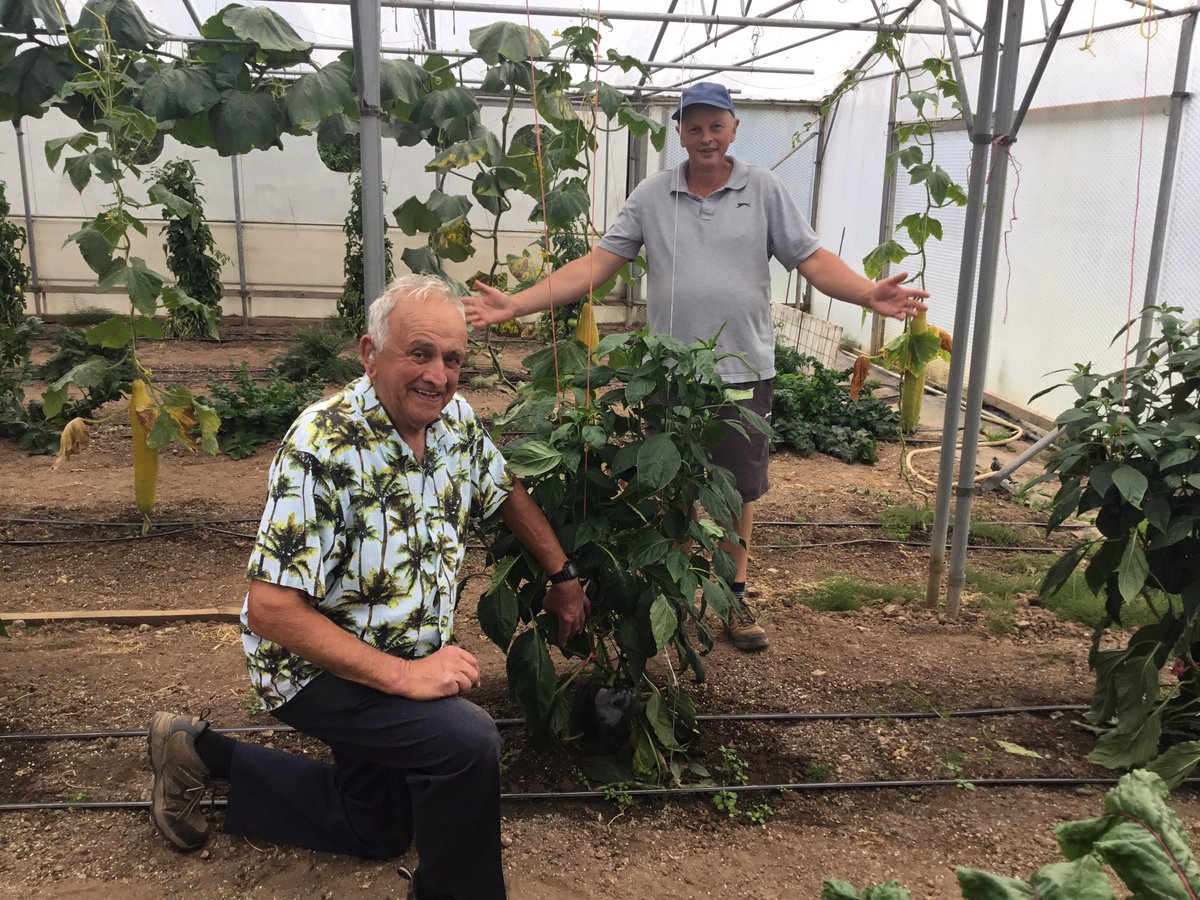Tyrone predicted on the 27th of August that this would be a world record breaker. He was correct. It’s been a nervous month making sure it didn’t spoil before the Malvern Autumn Show. It weighed in at 966g. Can I break the 1Kg barrier next year? 🤔