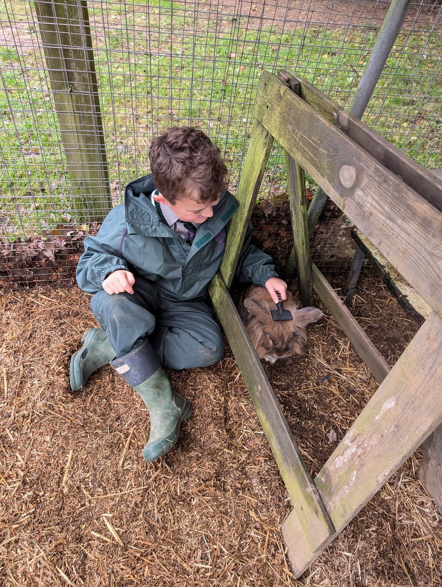 YH_SmallHolding's tweet image. A fantastic end to a very busy week in our smallholding with a visit from #YorkHouseY3 during their lunch time @YorkHouseSch #smallholding