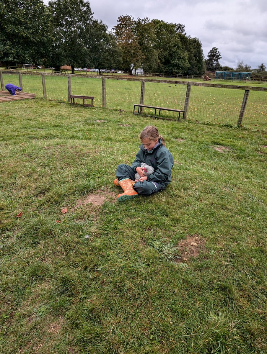 YH_SmallHolding's tweet image. A fantastic end to a very busy week in our smallholding with a visit from #YorkHouseY3 during their lunch time @YorkHouseSch #smallholding