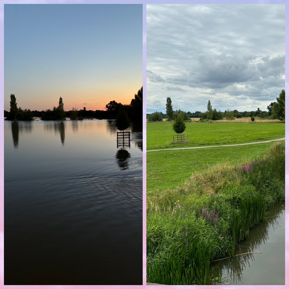 Viktoria (Ria) Urban, MSc Psych, FRAS tweet media