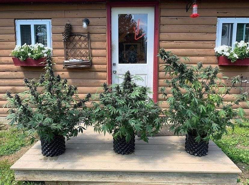 420journals's tweet photo. My dream porch 🤗❤️ https://t.co/pYqh4NPRSF