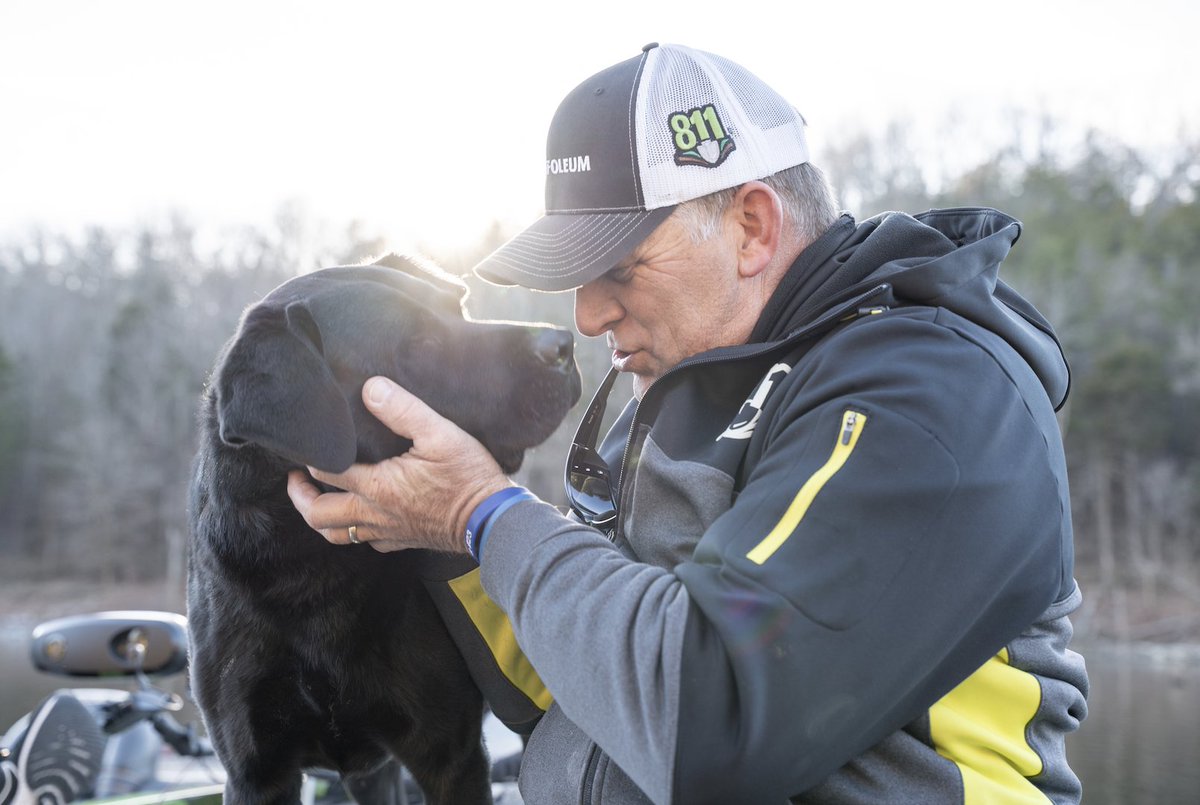 One Call Concepts tweet media