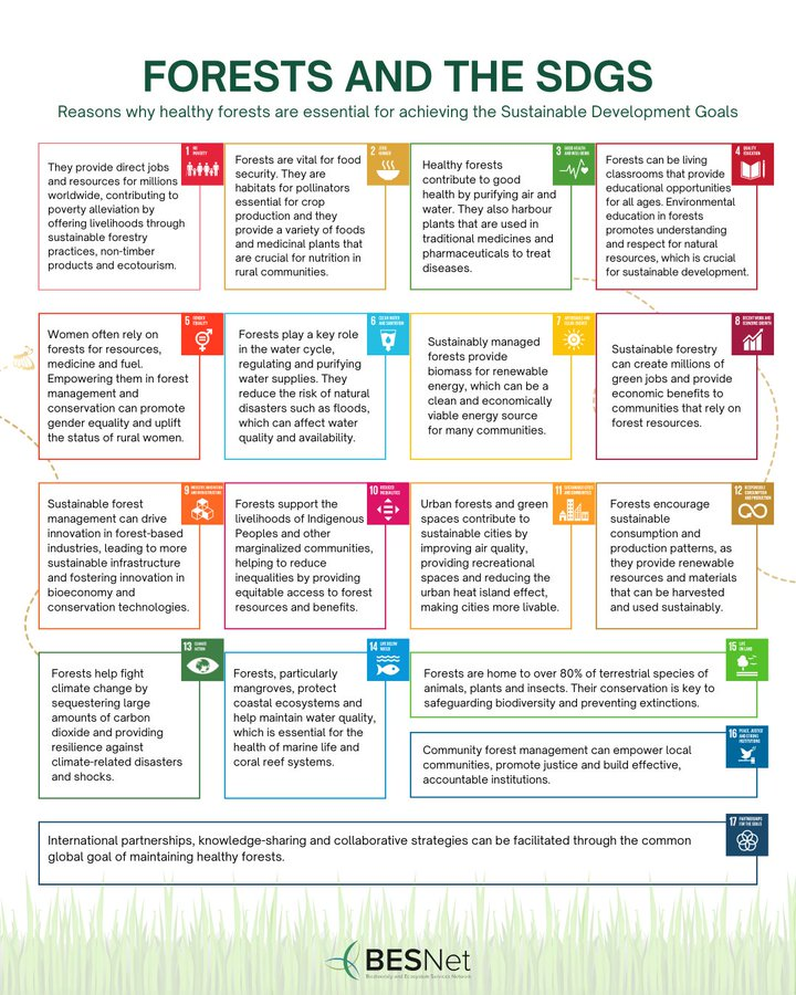 UNBiodiversity's tweet photo. Forests are essential for global sustainability. 🌿

🌳 From clean water💧 to biodiversity, 🦋 learn how protecting forests supports the achievement of the #SDGs and creates a healthier planet for all. 🌎

via @BESNet_UNDP https://t.co/s73ZWj1osS