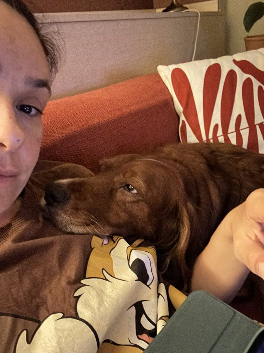 keşke size böyle bakan bir çocuğunuz olsa,Roma’m 🤎