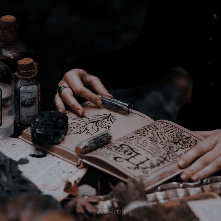 ⧉ 𝐌𝐎𝐍𝐎𝐑𝐎𝐋𝐄𝐒