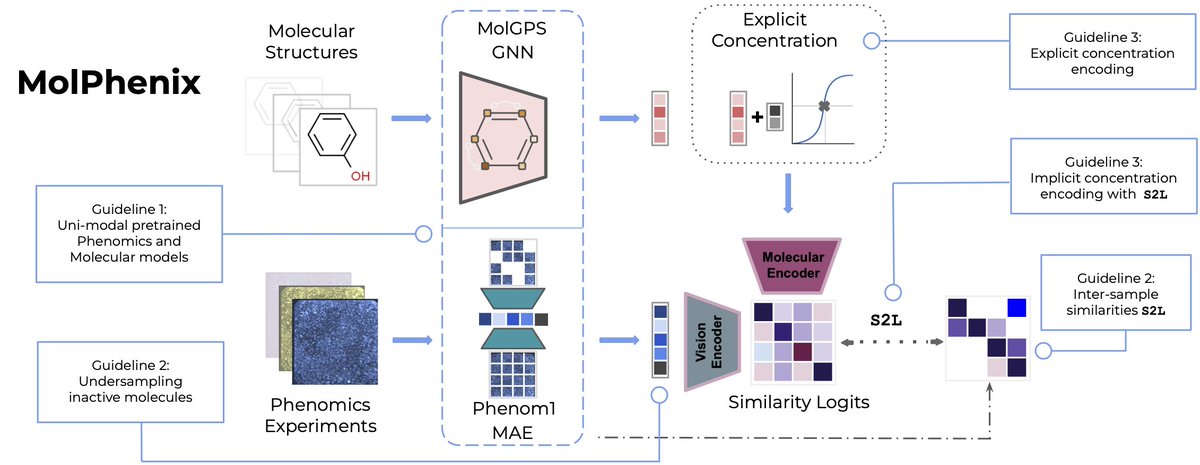 Really happy to see my ValenceLabs internship project out! This was really cool to work on because it really highlighted a few things that I believe are required to build successful ML+Bio projects: