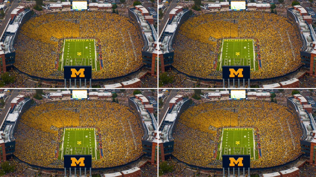 Collin Rugg tweet media