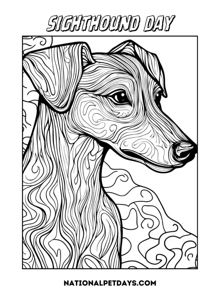 DogTipper's tweet image. Today is Sighthound Day: nationalpetdays.com/sighthound-day/ #SighthoundDay