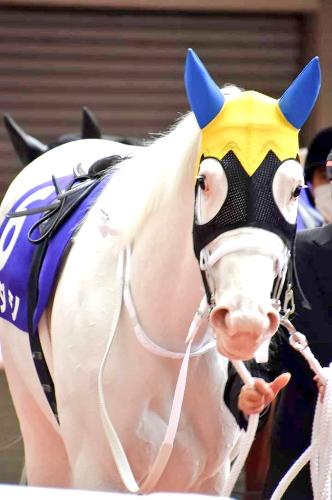 ブチ子と源☺︎☻ ブチコ