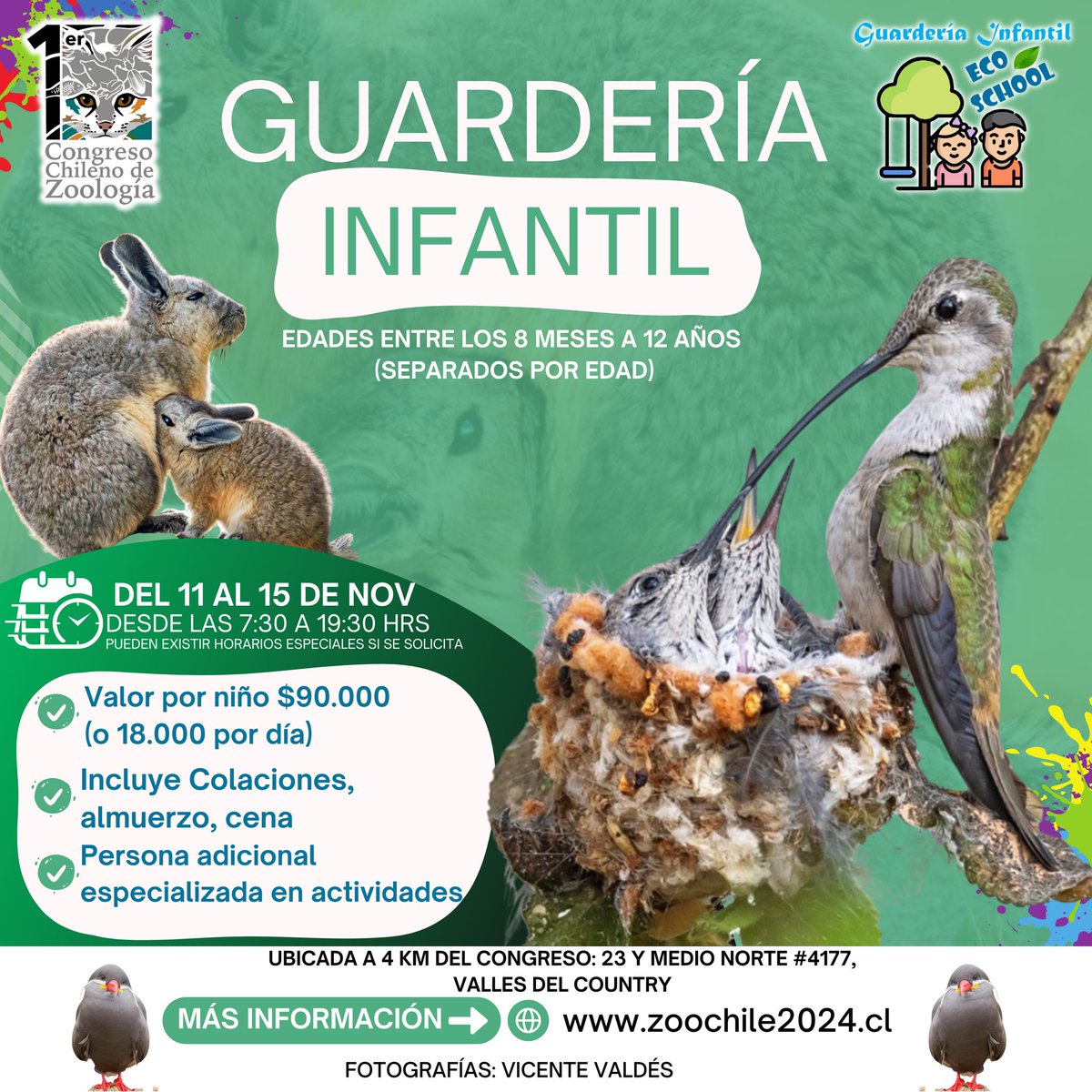 Hugo A. Benítez 🌳 tweet media