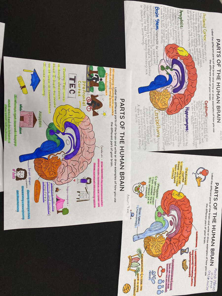 Mel Mrtz tweet media