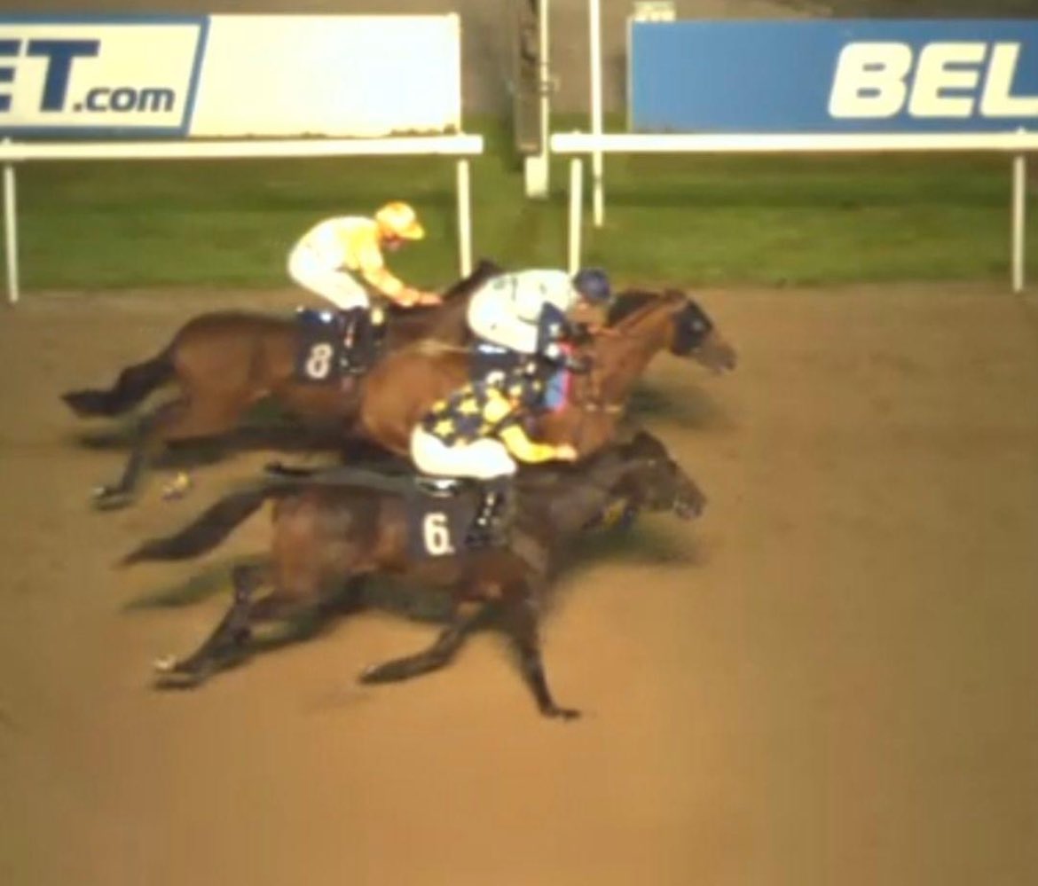 Craig Talbot (@craigtalbot19) on Twitter photo Brave 3rd from Sassy Glory tonight at Wolves
That’s her last run before a crack at the AW Bonus starting 22nd Oct
Should be plenty of points to be picked up this winter with her 🤞🩷💛
Well done <a href="/rhyselliott06/">Rhys</a> <a href="/mwalfordracing/">Mark Walford</a> <a href="/URSAMAJORRACING/">Ursa Major Racing Ltd</a> Brave 3rd from Sassy Glory tonight at Wolves
That’s her last run before a crack at the AW Bonus starting 22nd Oct
Should be plenty of points to be picked up this winter with her 🤞🩷💛
Well done <a href="/rhyselliott06/">Rhys</a> <a href="/mwalfordracing/">Mark Walford</a> <a href="/URSAMAJORRACING/">Ursa Major Racing Ltd</a>