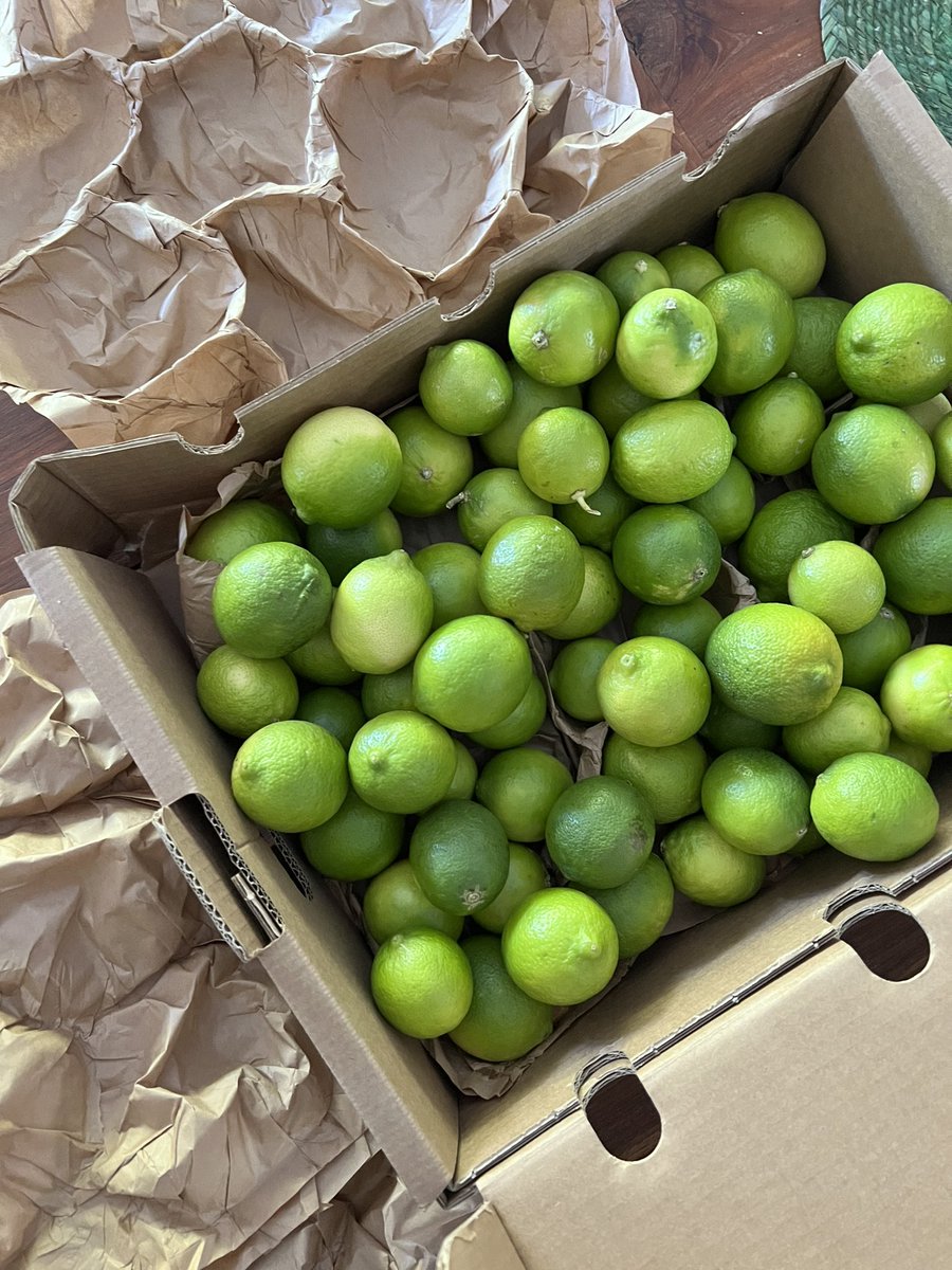 Fat Tomato (@_fattomato) on Twitter photo Did you know we adopt citrus and tropical trees in Spain and Italy through the <a href="/crowdfarmingco/">CrowdFarming</a> platform? We like to support like-minded organic growers of ingredients we cannot get directly from Ireland.
Today, we got limes 😍 Did you know we adopt citrus and tropical trees in Spain and Italy through the <a href="/crowdfarmingco/">CrowdFarming</a> platform? We like to support like-minded organic growers of ingredients we cannot get directly from Ireland.
Today, we got limes 😍