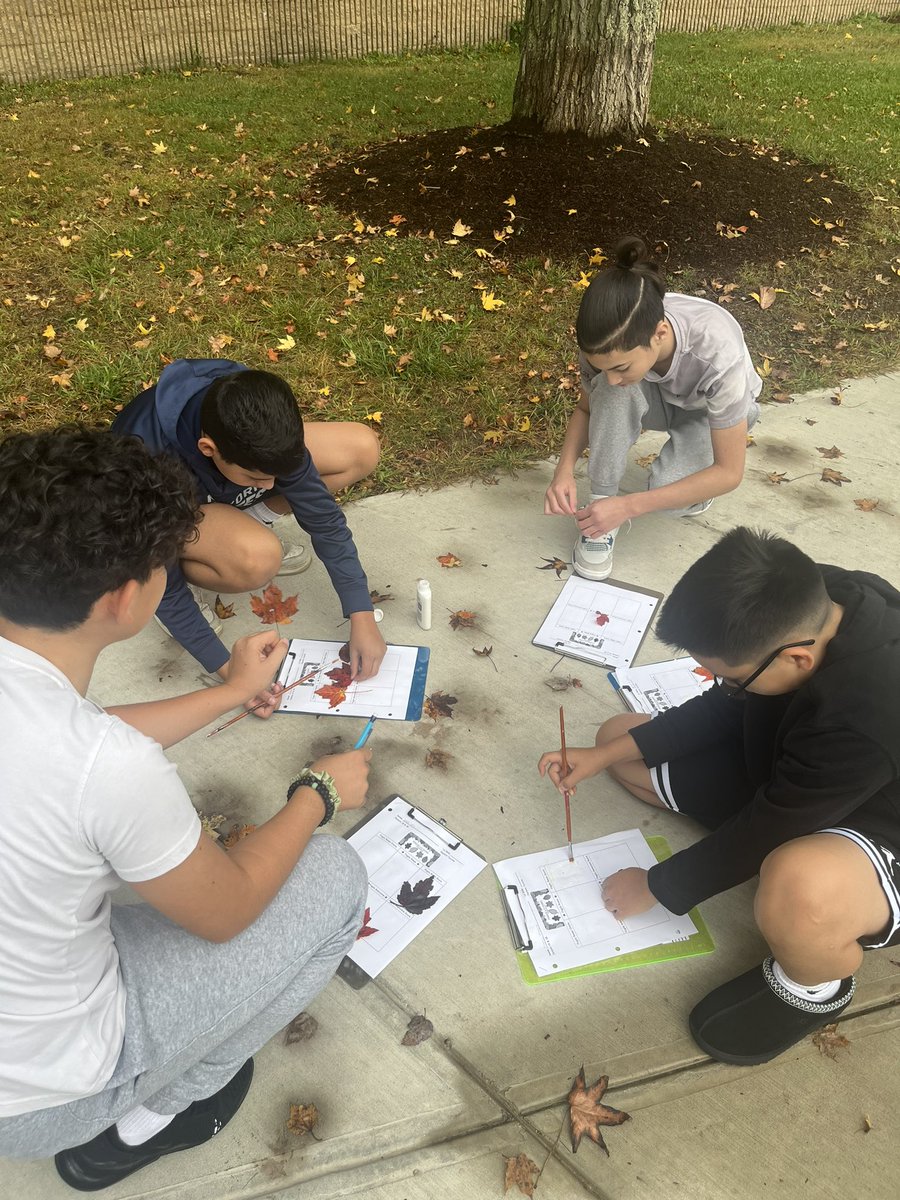 SignoraTuccillo's tweet photo. Perfect fall day to get outside and practice our color vocabulary in Italian with the beautiful leaves that have fallen. 🍁 🍂 🍃 @MMS_PACPride https://t.co/b8vafZx1yc