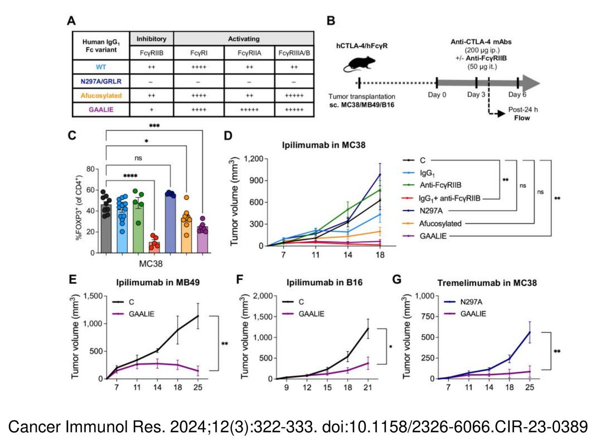 Journal for ImmunoTherapy of Cancer (@jitcancer) on Twitter photo September <a href="/sitcancer/">Society for Immunotherapy of Cancer</a> #JITC Reading List by Section Editor Sandra Demaria <a href="/DemariaLab_WCM/">Sandra Demaria</a> <a href="/WeillCornell/">Weill Cornell Medicine</a> selection #4: FcγRIIB Is an Immune Checkpoint Limiting the Activity of Treg-Targeting Antibodies in the Tumor Microenvironment by <a href="/RockefellerUniv/">Rockefeller University</a> and <a href="/ChilesResearch/">Earle A. Chiles Research Institute</a> September <a href="/sitcancer/">Society for Immunotherapy of Cancer</a> #JITC Reading List by Section Editor Sandra Demaria <a href="/DemariaLab_WCM/">Sandra Demaria</a> <a href="/WeillCornell/">Weill Cornell Medicine</a> selection #4: FcγRIIB Is an Immune Checkpoint Limiting the Activity of Treg-Targeting Antibodies in the Tumor Microenvironment by <a href="/RockefellerUniv/">Rockefeller University</a> and <a href="/ChilesResearch/">Earle A. Chiles Research Institute</a>