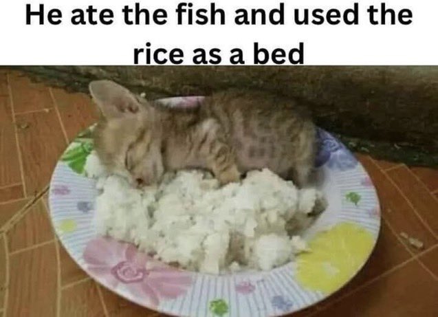 No stream today, I’ll be back Sunday to finish astro bot!!!