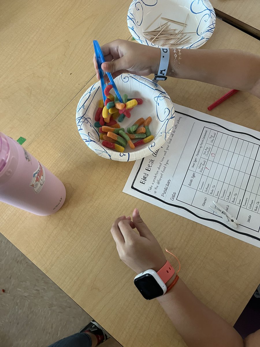 Jen_Teaches24's tweet photo. In today’s lab, students investigated which “bird beaks” are best adapted to gather different food types. 🦅🦜🐦@ElbridgeGaleES #STEM https://t.co/3UbMxJAdSk
