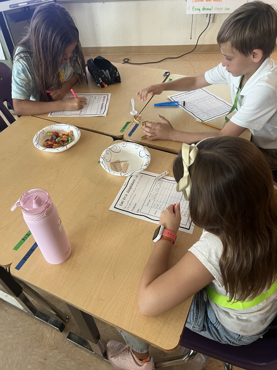 Jen_Teaches24's tweet photo. In today’s lab, students investigated which “bird beaks” are best adapted to gather different food types. 🦅🦜🐦@ElbridgeGaleES #STEM https://t.co/3UbMxJAdSk