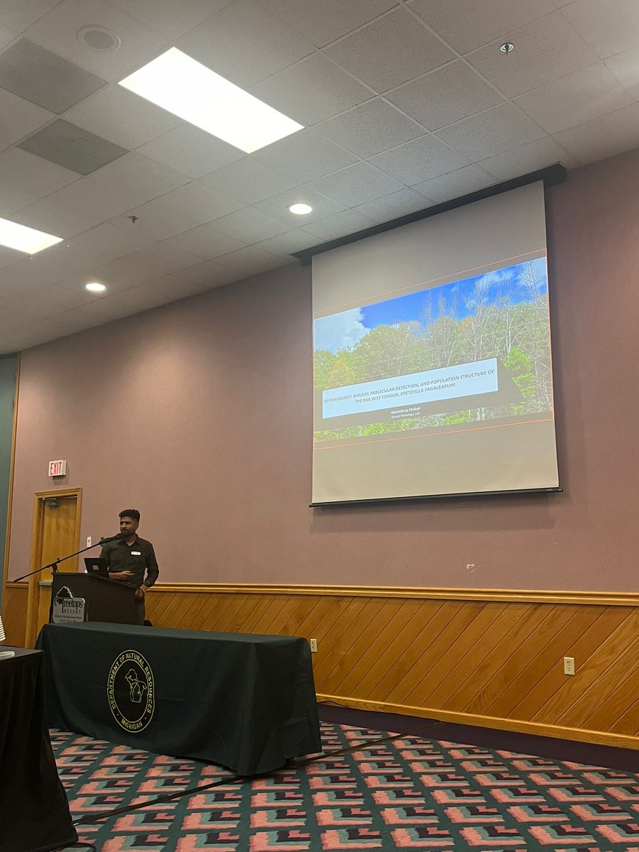 Karan_PlantPath's tweet photo. Recently presented at #OakWilt Managers Meeting @MichiganDNR 2024! Audience was engaged, especially in new detection methods using fallen leaf petioles &amp; the pathogen's pop structure. Loved the insightful Qs! Their feedback made my PhD work feel truly worthwhile! #Forestpathology https://t.co/tDHt5qnMWG