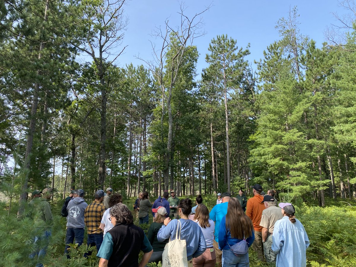 Recently presented at #OakWilt Managers Meeting <a href="/MichiganDNR/">Michigan Department of Natural Resources</a> 2024! Audience was engaged, especially in new detection methods using fallen leaf petioles &amp; the pathogen's pop structure. Loved the insightful Qs! Their feedback made my PhD work feel truly worthwhile! #Forestpathology