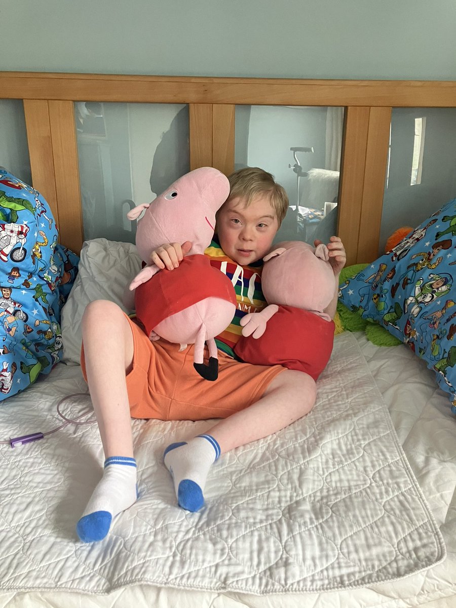 On the hunt again for OLD style Peppa pigs for Jack, must be the TY version with beans in the bum. The modern versions in all the shops won’t do. I looked for a few this time two years ago &amp; was lucky to get two plus a bonus big one. He loves her &amp; is rarely seen without her. TIA