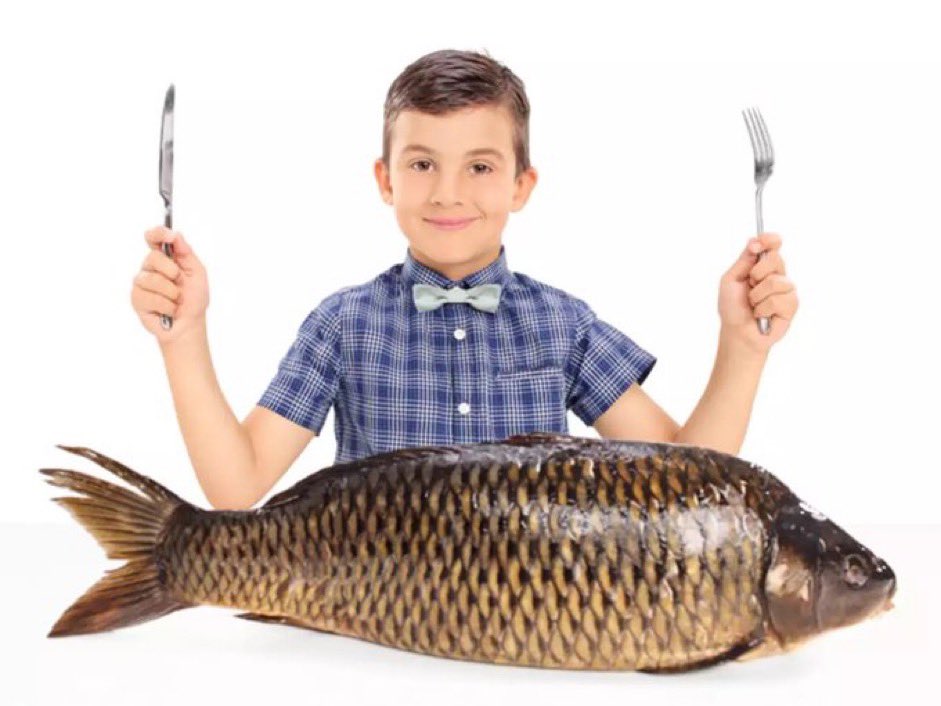 bobtheylan's tweet image. idk how u have it but mine was online and i found the answers on Various websites bc im a #googler