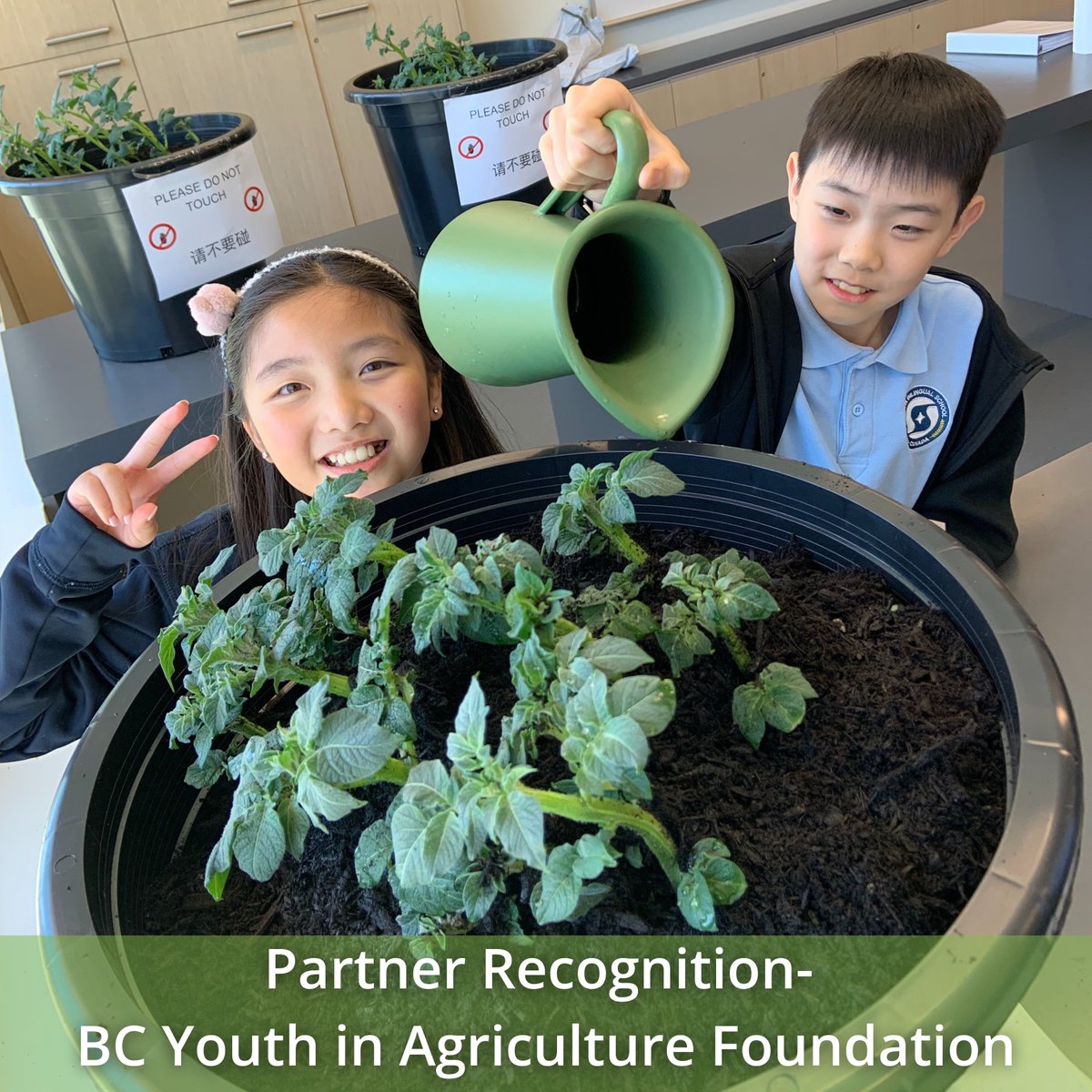 🌟Huge thanks to the BC Youth in Agriculture Foundation for their support!
Their help enriches our programs:🌱Ag Adventures in the Pencil Patch &amp; Helen’s Acres🥔Spuds in Tubs
We’re grateful for your commitment to cultivating curiosity and passion for agriculture in BC students!