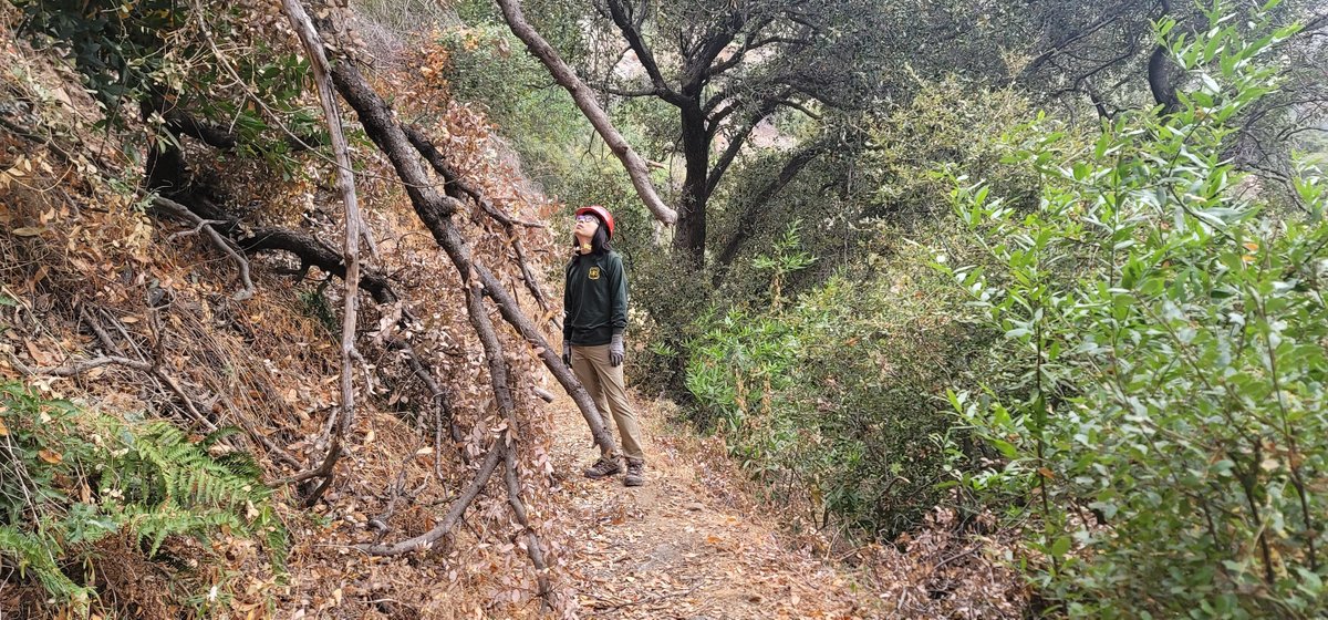 ⛰️San Gabriel Mountains Trailbuilders ⛰️ tweet media