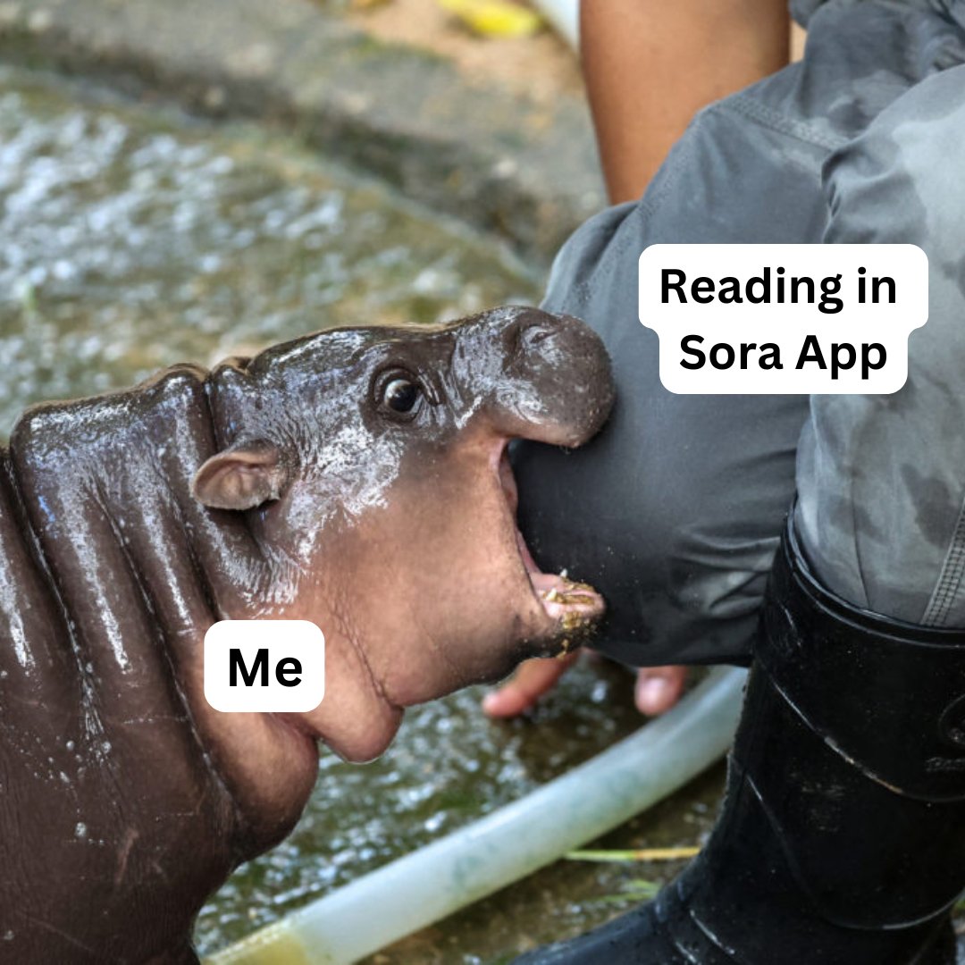 Embrace your inner #MooDeng. 🦛 Read in #SoraApp! 📖
#reading #bookstagram