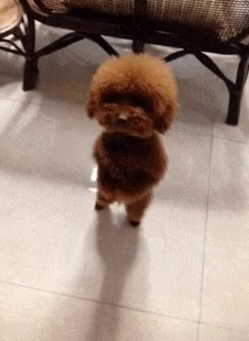 justvigi2's tweet photo. whats this guy up to 🤣😂😂😂 https://t.co/LdXhF4uPK3