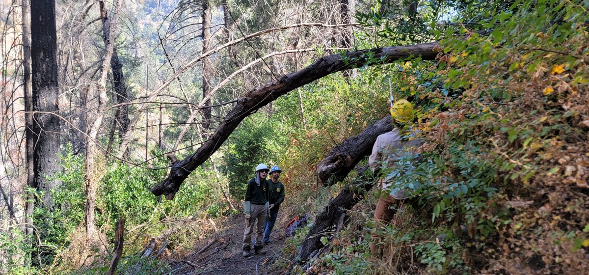 ⛰️San Gabriel Mountains Trailbuilders ⛰️ tweet media