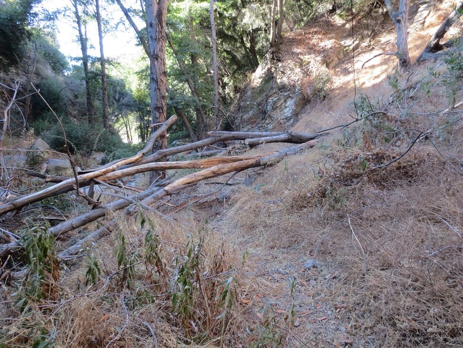 ⛰️San Gabriel Mountains Trailbuilders ⛰️ tweet media