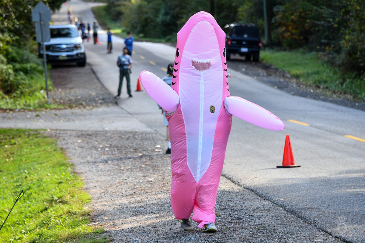 RidgeRCMP's tweet photo. Let's go running! π
Some of our members and staff attended the #TerryFoxRun today at @YennadonSD42 to support and encourage students to #TryLikeTerry! @sd42news
Oh yeah - we brought some sharks with us too! π¦π https://t.co/iGAIQ6WN6i