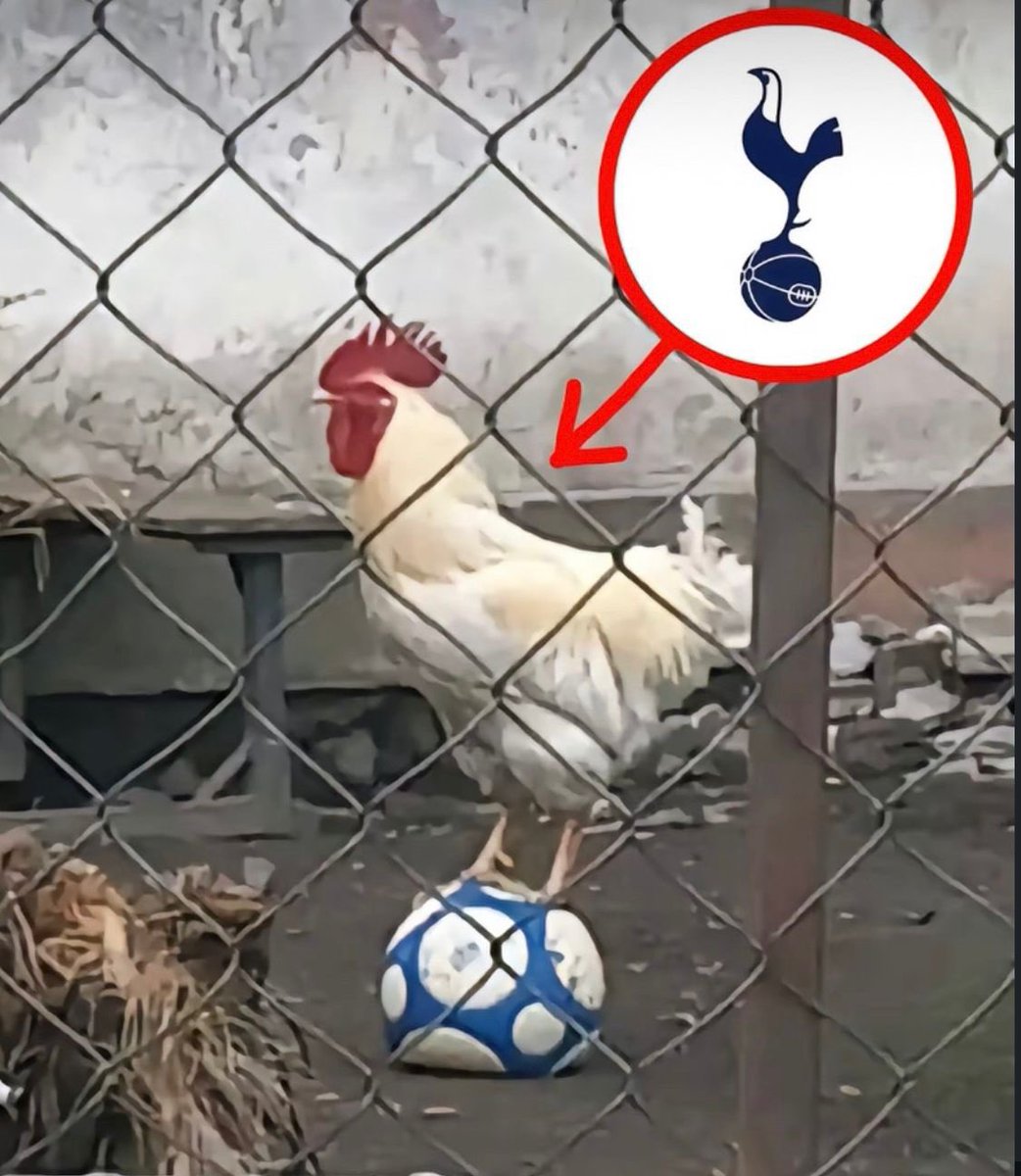 Out Of Context Football (@nocontextfooty) on Twitter photo 