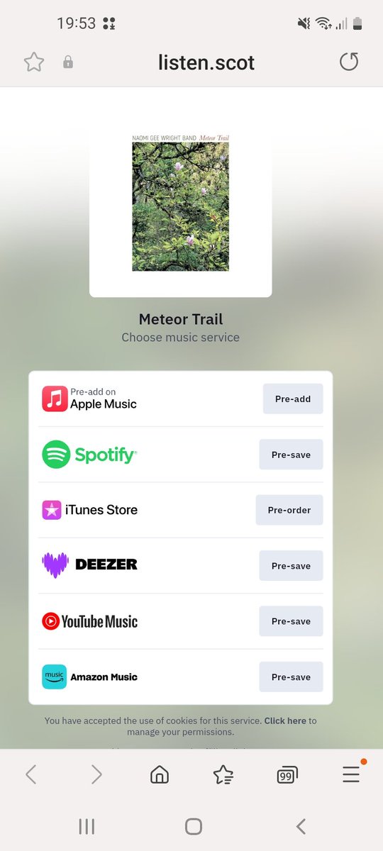 Excited to announce the link is here to PRE ORDER my new album 'Meteor Trail' ahead of the release date if October 25th! 🥳🥳🥳thttps://listen.scot/ngwmt