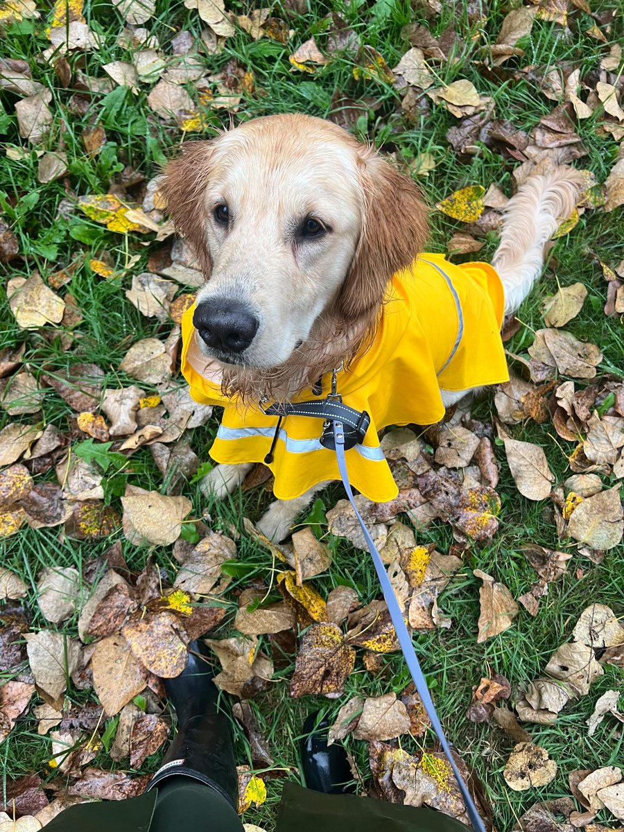 Great streams this week, see you guys Monday when I’m live next, have a great weekend!