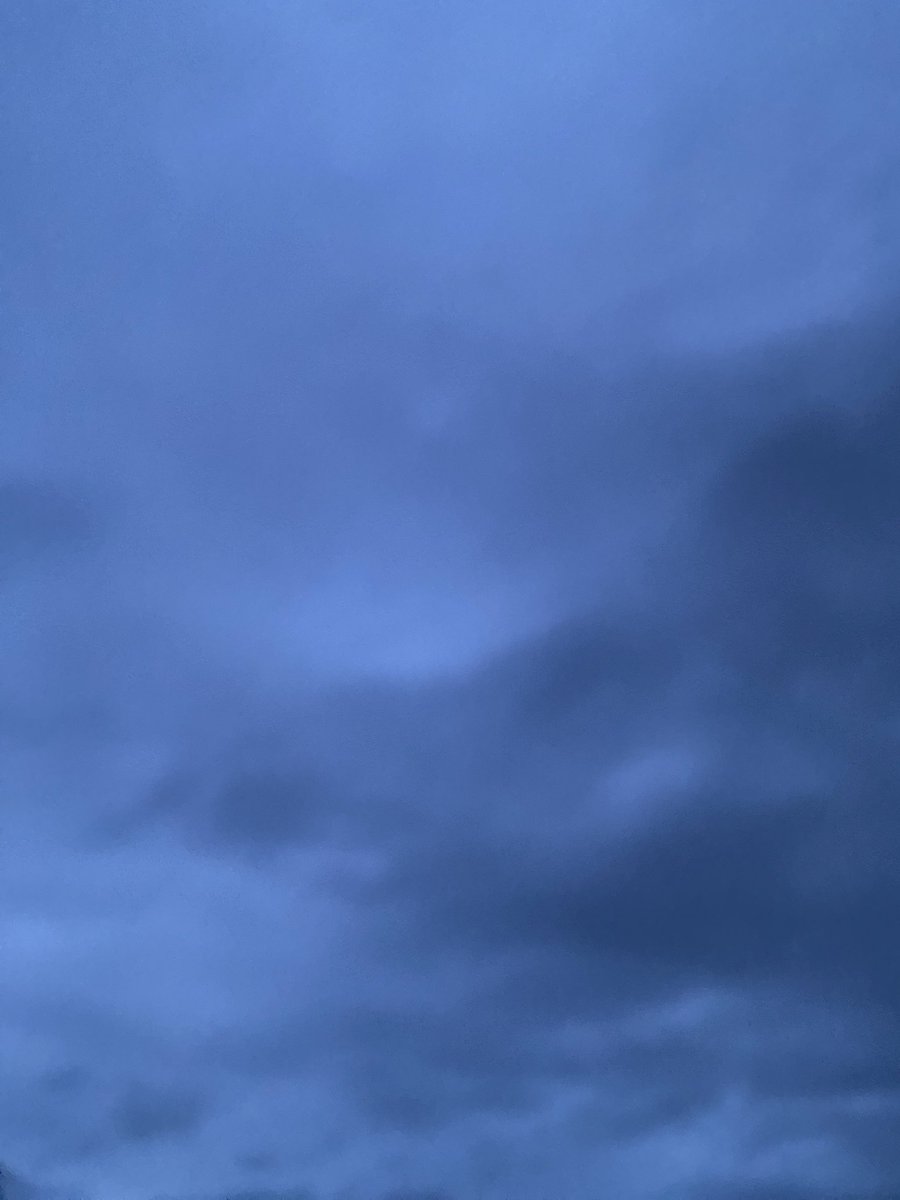 今日は曇りがち？