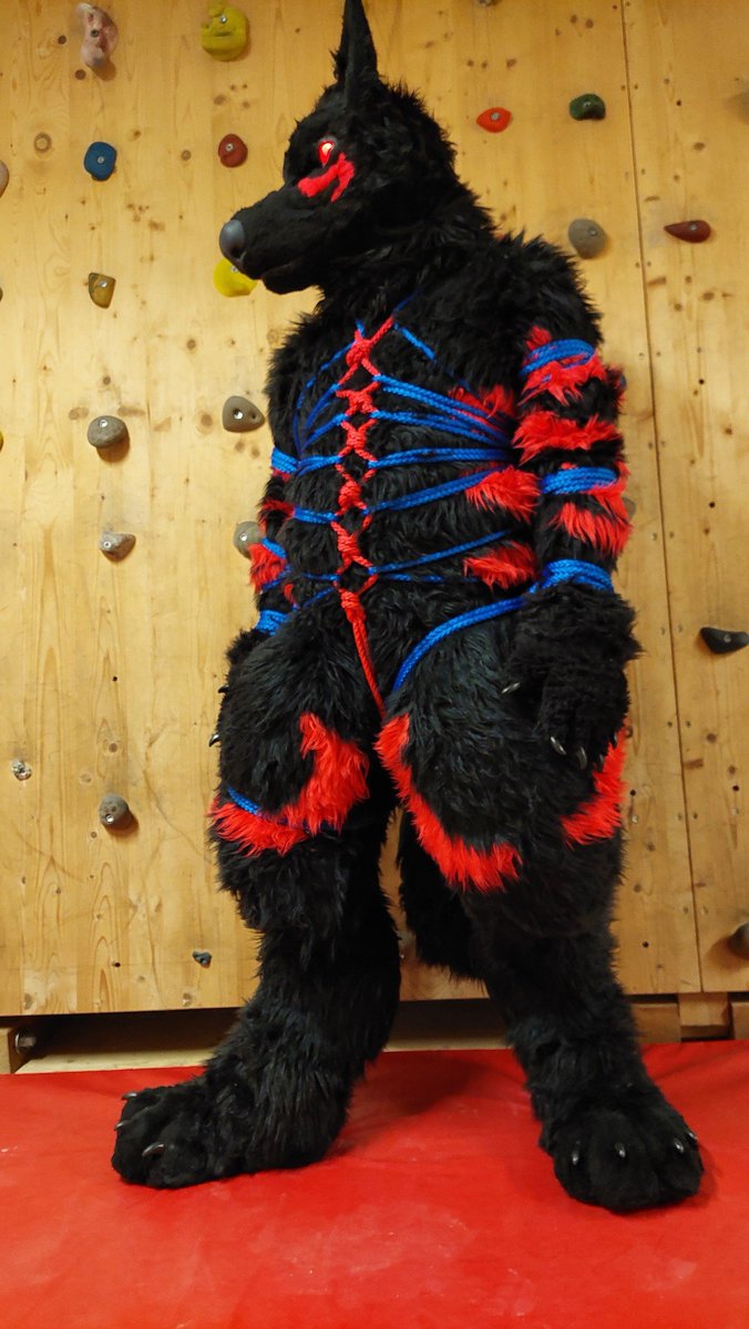 Dumb Dog Mastix tweet media