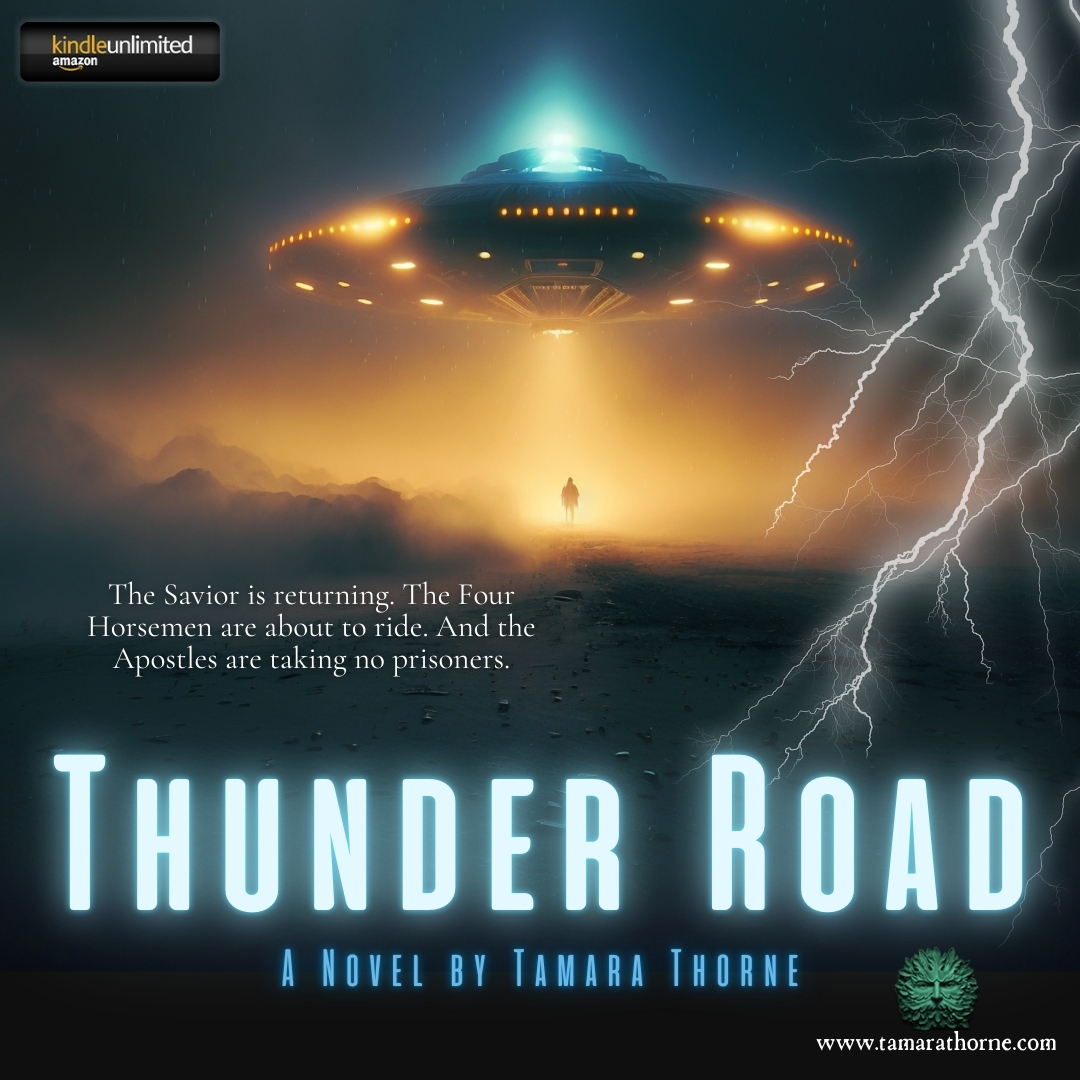 tamarathorne's tweet photo. Thunder Road is just 99 Cents today!
https://t.co/e0DROF1pX8 https://t.co/jRlQxeZXMq