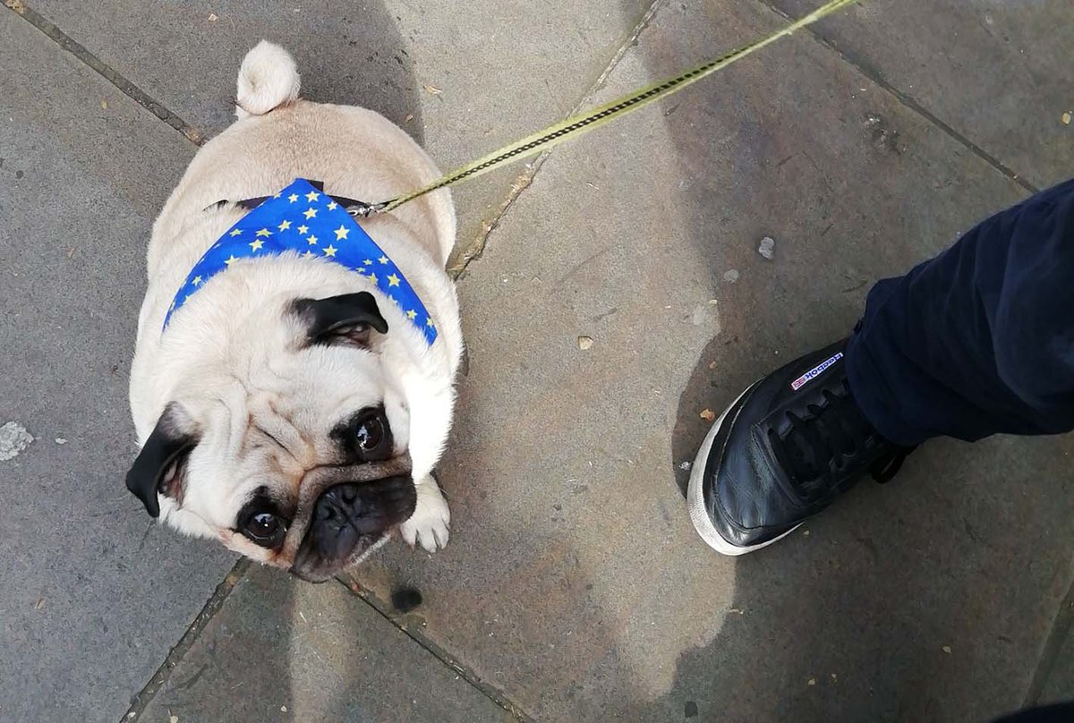 Hi <a href="/MarchForRejoin/">National Rejoin March</a> Not well so cant be there tomorrow but there in spirit!